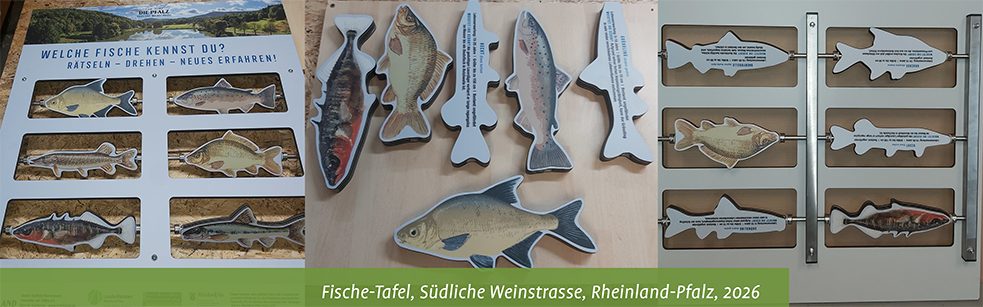 themenbild-schautafel